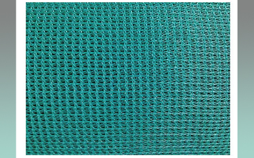 Green Net